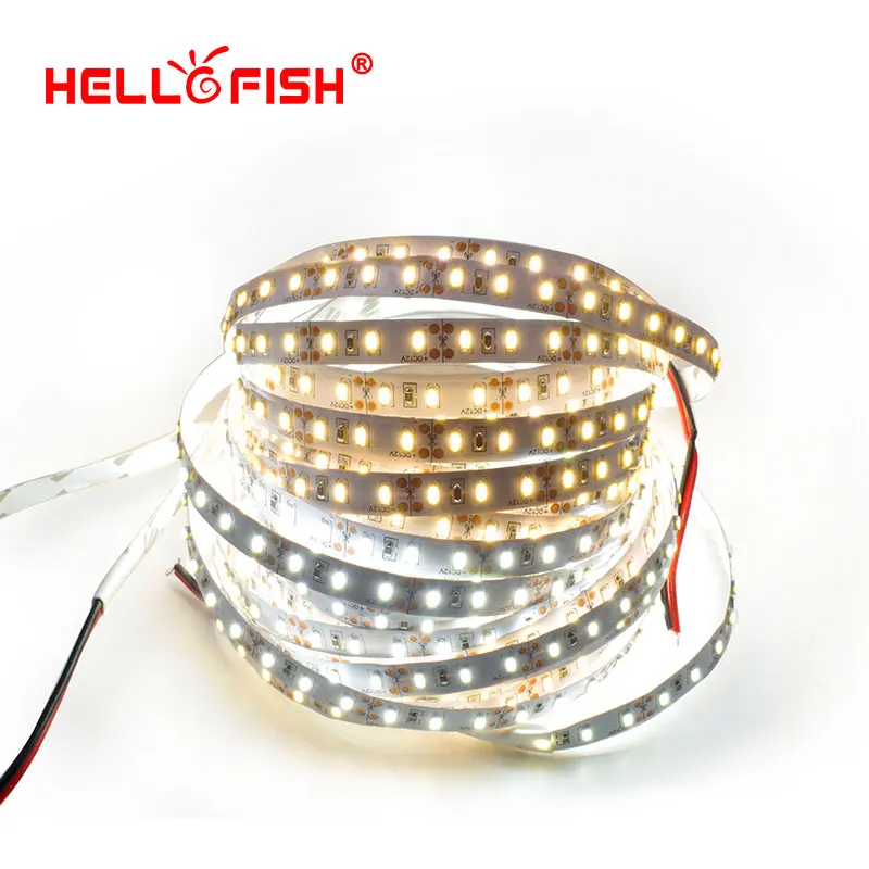 

Hello Fish 5M 4014 LED Strip, 120 LED/M DC12V Flexible LED Tape LED Strip Light White/Warm White With Hello Fish