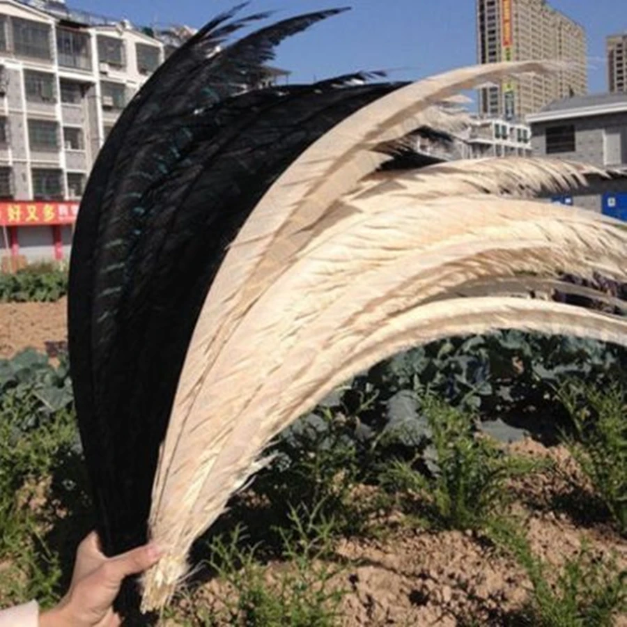 10 шт. декоративные перья фазана 32 36 дюймов 80 90 см|feather decor|lady amherstlady amherst pheasant |