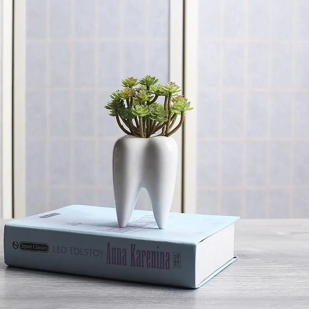 Инновационная белая керамическая форма зуба суккулентные растения цветочный