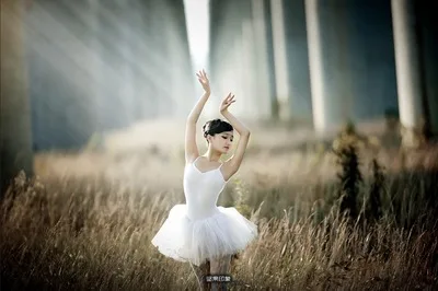 

white princess snow swan lake ballet tutu performance dancing dress leotard