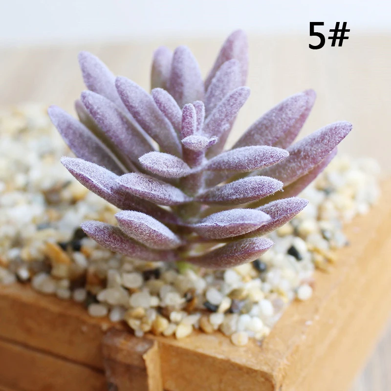 Искусственные пластиковые миниатюрные суккуленты растение кактус эчеверия