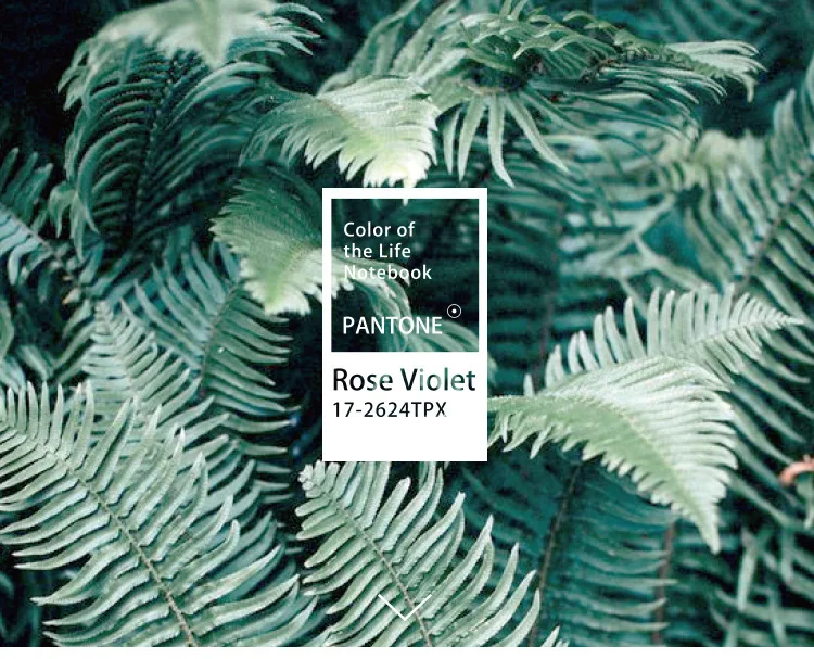 PANTONE Японский милый цветной четырехсезонный цветочный блокнот 4 внутренних дизайна чертежный планировщик повесток сетки Дневник Школьные подарки