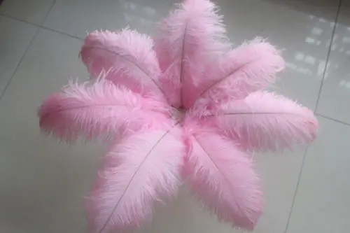 

Hot! Free shipping manufacturers selling 10 PCS pink ostrich feathers 18-20inches/45-50cm