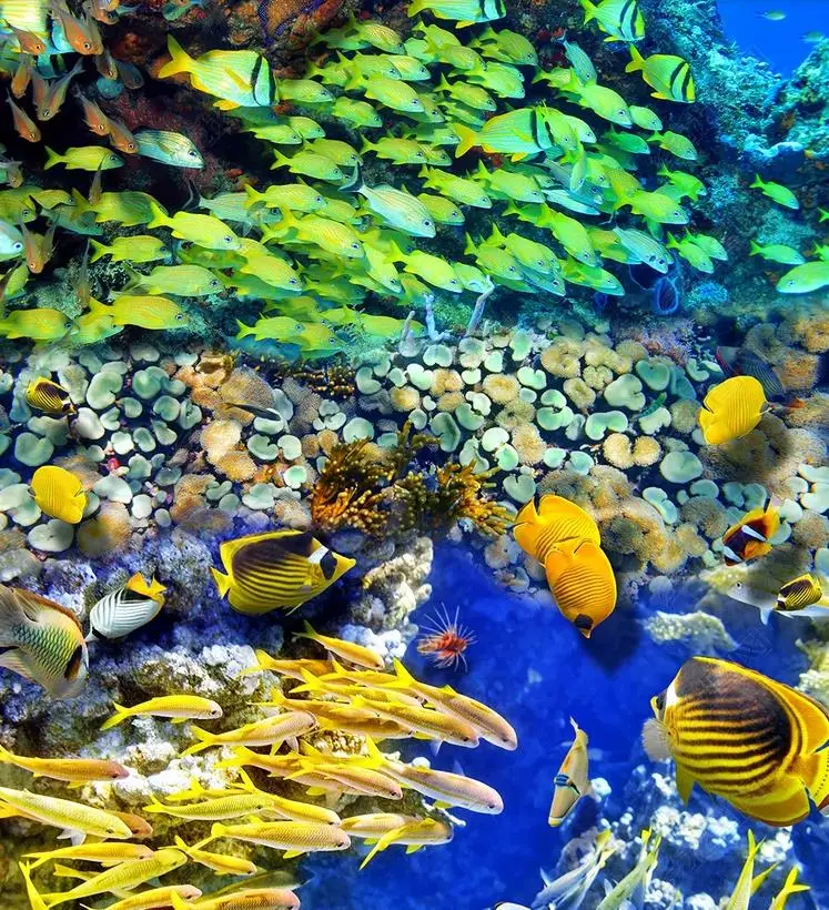 Обои для пола стереоскопические обои под водой спальни стен 3d напольные