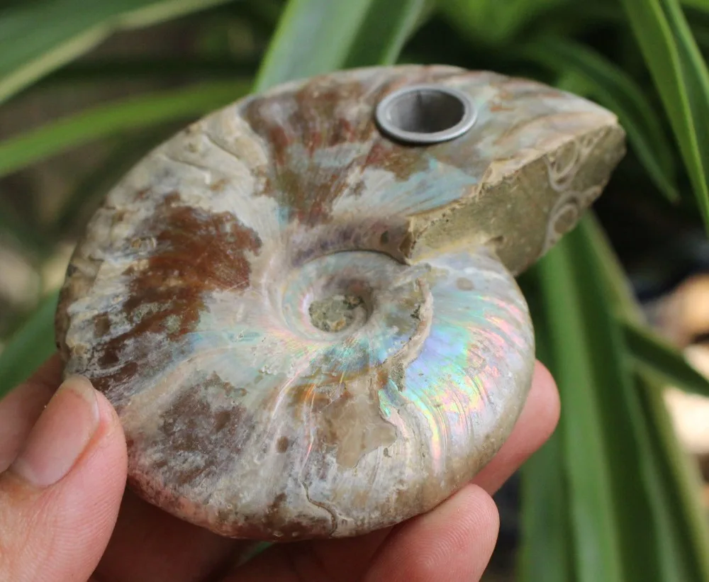 230 г! Натуральный аммонит Радуга FOSSIL курительная трубка для табака