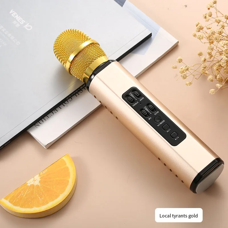 Bluetooth микрофон динамик беспроводной Профессиональный Karake плеер ручной