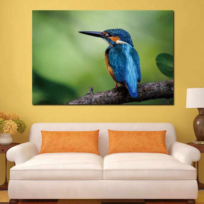 Kingfisher красочная птица дикая природа животное KB431 гостиная домашний Современный
