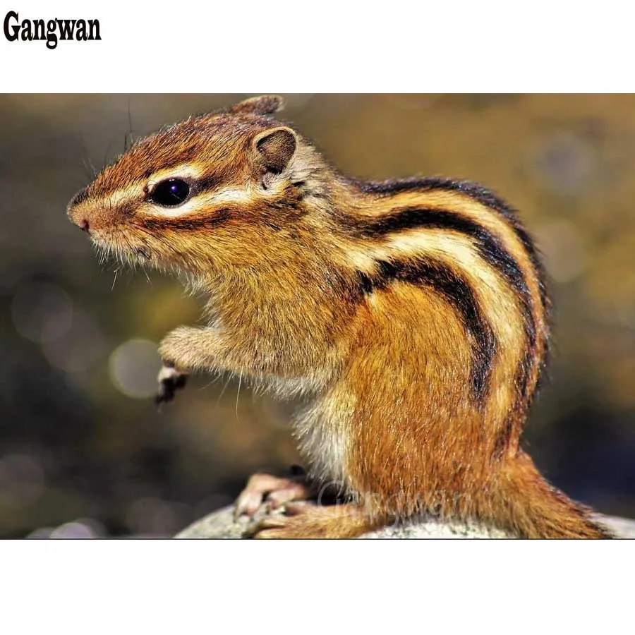 Алмазная вышивка Chipmunks мультяшная картина из страз мозаика бисером Алмазный Узор