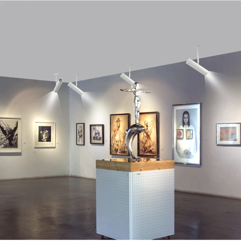 Вниз светильник Точечный светодиодный вращающийся Поверхностная установка COB 3