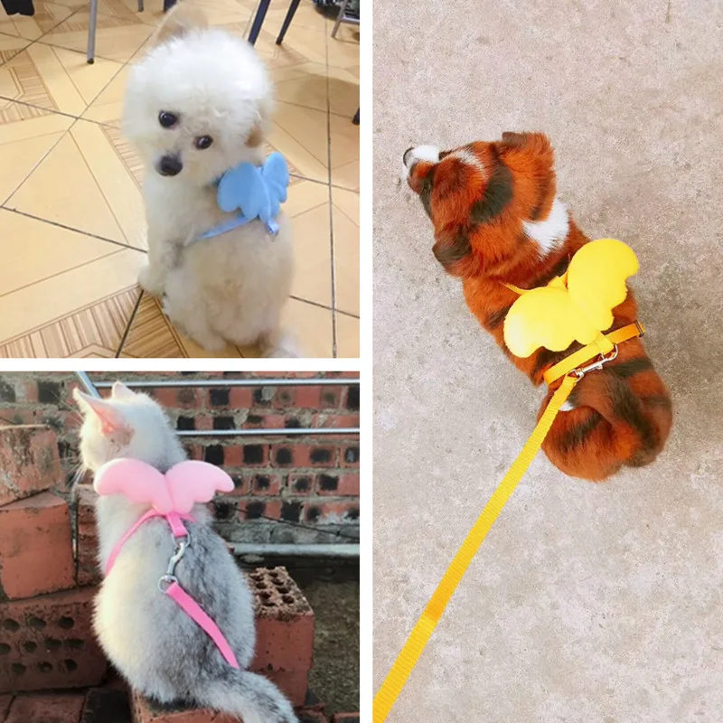 Поводок нейлоновый для собак и кошек милый регулируемый шнурок с изображением