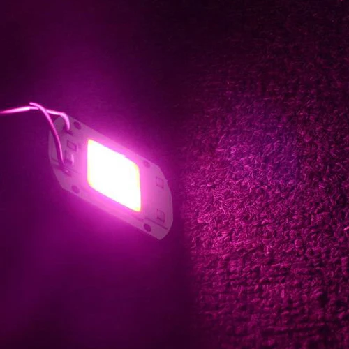 RGB Vacamm светодиодный светильник для выращивания COB чип полный спектр AC 220 В 110 В 20 Вт 30 Вт 50 Вт DIY лампы для цветов растений Комнатное Гидропоника комнатное растение - Испускаемый цвет: RGB