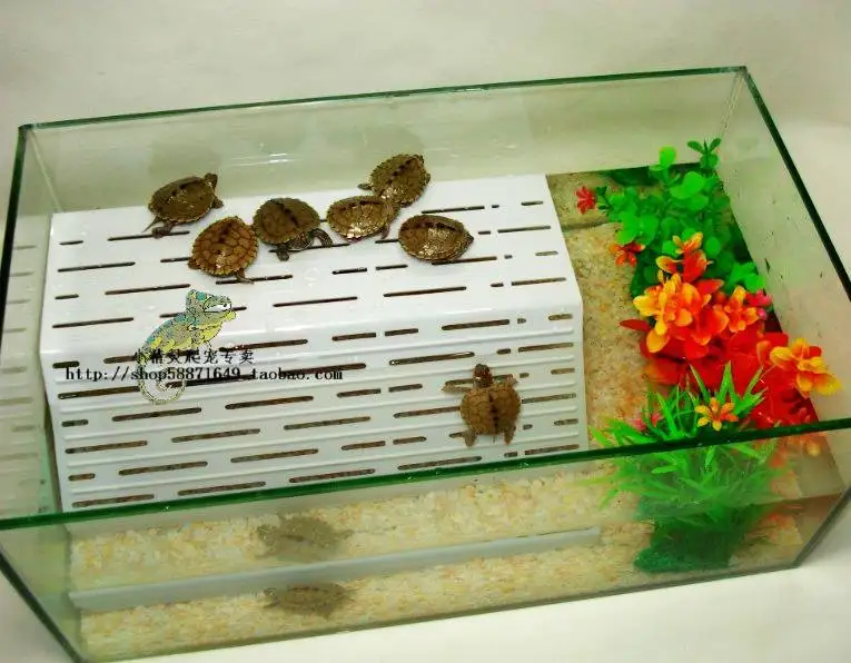 28 см прозрачный акриловый терраса рептилии Террариум черепаха плавучий опорная