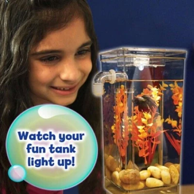 Самоочистки Рыбы Танк Половина Галлон Аквариум Свет Русла Камни Водных Растений