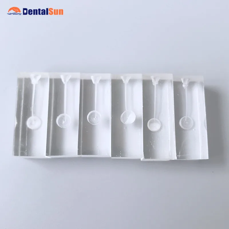 Стоматологический тренировочный блок M8001|Отбеливание зубов| |