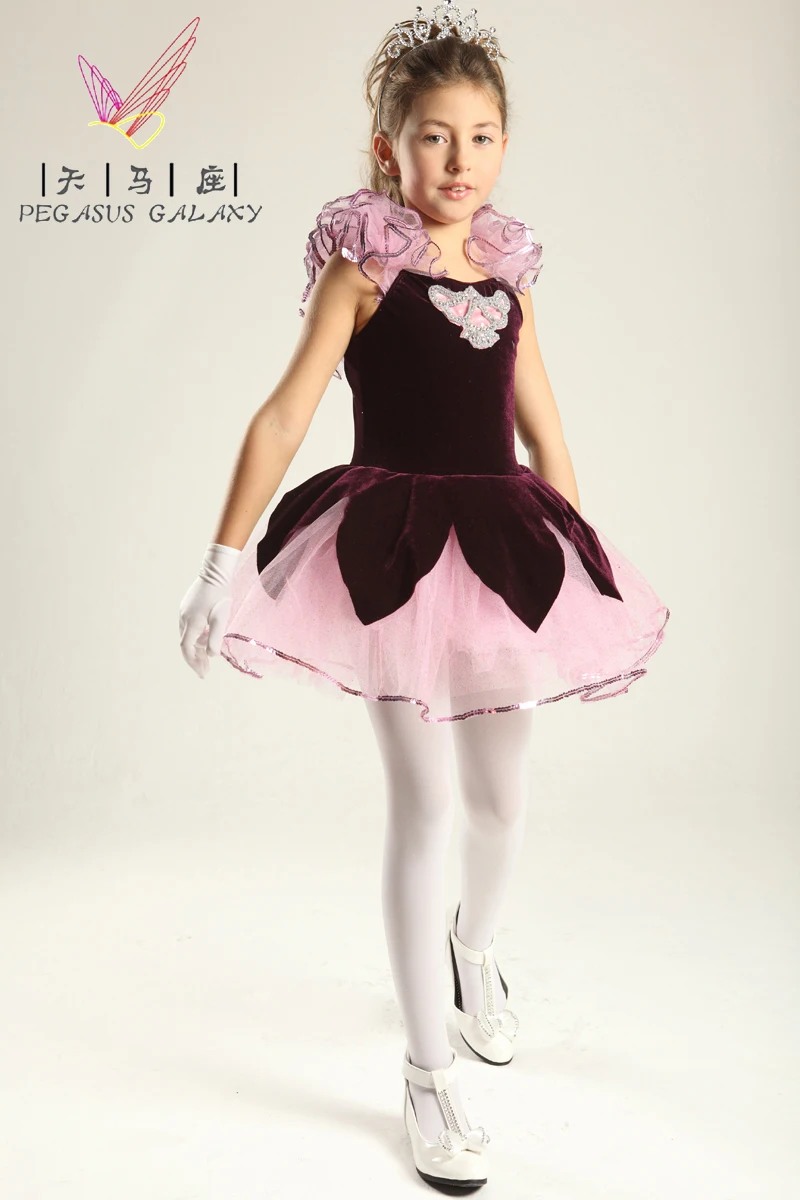 

Velvet Ballet Dance Dress For Girls Ballet Clothes Children Professional Ballet Tutus Adults Ballerina Stage Show Dance Costumes