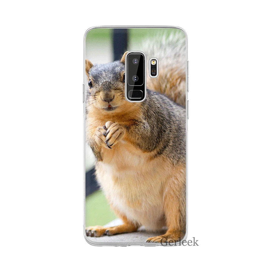 Desxz Squirrel Peanut Mouse Case For Samsung Galaxy S3 S4 S5 S6 S7 Edge S8 S9 S10 Plus S10e | Мобильные телефоны и