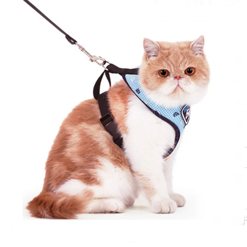 Pet Cat шлейка и поводок набор комфортный мягкий Жилет Жгут сетка одежда для