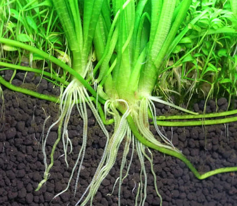 1 шт. Сумасшедший аквариум ландшафтный водный грязь аквариумный песок|Большие и