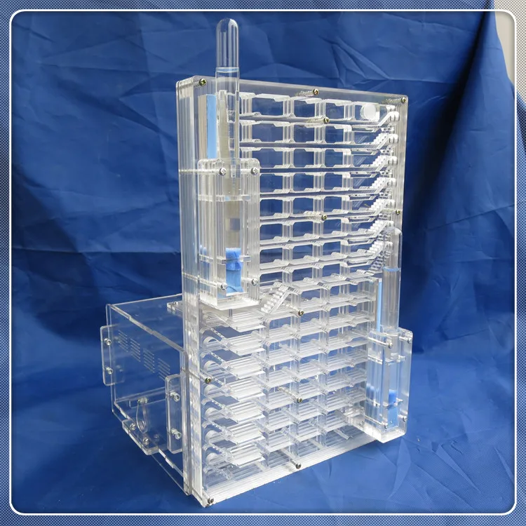 Прозрачная муравьиная ферма Образовательное устройство с 2 водяными башнями DIY