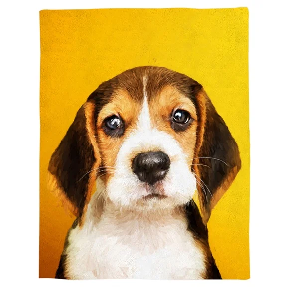 WHH00081 Jolly Corgis в зеленом пледы одеяло, домашнее украшение собака и Кость Теплый микрофибры одеяло s для спальни - Цвет: WHH00081