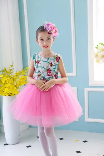 Pink embroidered Новое платье для танцев с блестками костюм с цветочным рисунком розовые платья принцессы для мальчиков и девочек лохматая газовая балетная пачка для латиноамериканских танцев, детский костюм для выступлений - Цвет: Pink embroidered