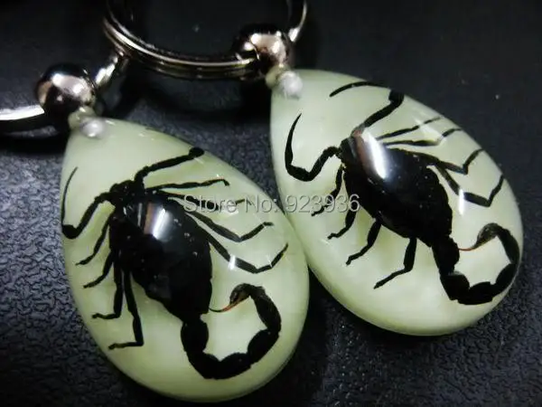 Высокое качество 10 шт. светятся в темноте lucite Lucky Charm брелок из натуральной кожи Черный скорпион таксидермия GL01