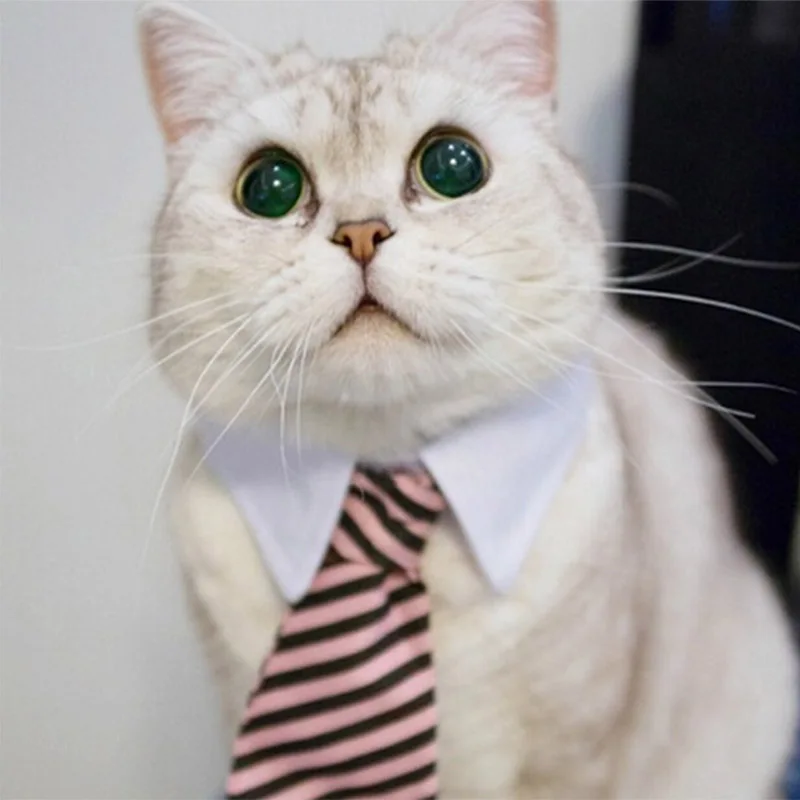 Ошейник для питомца собаки кошки галстук Повседневный полосатый принт