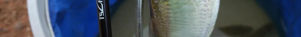 TSURINOYA 2Secs 1,4 m спиннинговое удилище UL 1-6g/2-6LB пробковая ручка углеродное спиннинговое удилище Vara De Pesca Olta Cana De Pescar Peche