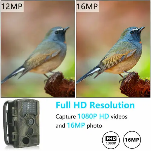 Охотничья камера 16MP 1080p инфракрасное ночное видение дикая природа скаутинг ИК