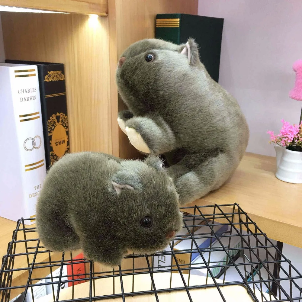 1 шт. 18 см Моделирование Плюшевые вомбат свинки Cavia Porcellus игрушка чучело дикие