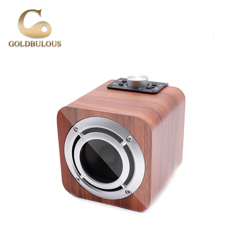Goldbulous Bluetooth Динамик fm Радио 8 Вт Портативный Беспроводной мини PA Hi-Fi стерео звук