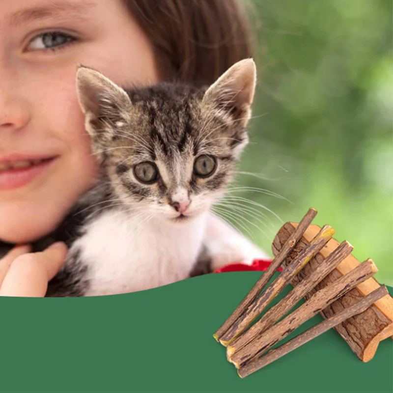 5 шт. молярные палочки для чистки кошек жевательные из натурального дерева