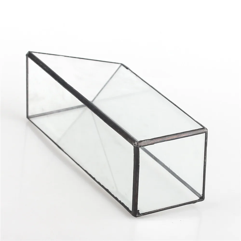 Аквариумные водные растения длинная четырехугольная призма геометрическая