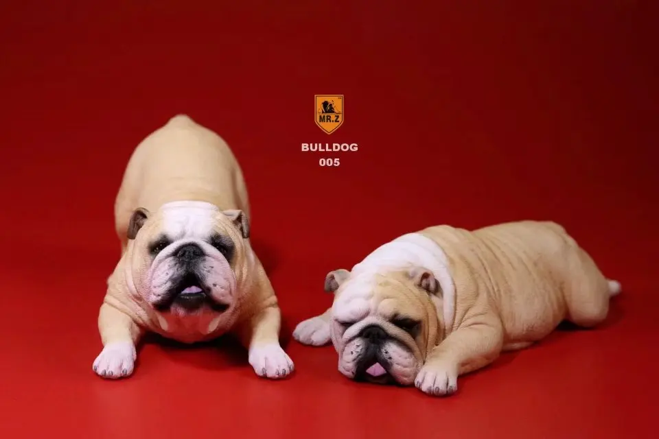 Mnotht 1Pair 1/6 British Bulldog Sculpt Model Naughty &amp Cute Dog Carving For 12in Action Figure Scene l20 | Игрушки и хобби