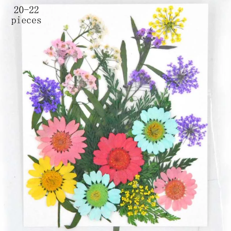 Прессованный цветок смешанные органические натуральные сушеные цветы сделай