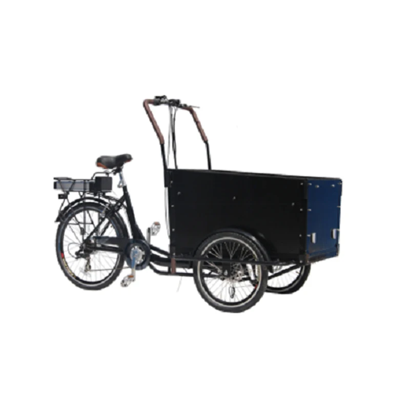 Трехколесный OEM сервис Бесплатные аксессуары Педальный помощник большой