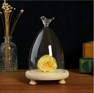 1set bird dome Диаметр = 10 см стеклянная купольная ваза с деревянной основой для украшения дома различные верхние стеклянные купольные друзья Подарочное свадебное украшение - Цвет: 1set bird dome