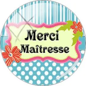 JWEIJIAO французский "Je Suis Une Maitresse Qui Dechire' стеклянный кабошон купольный Merci Maitresse для брелока ожерелье DIY Подвески на заказ - Цвет: CT279