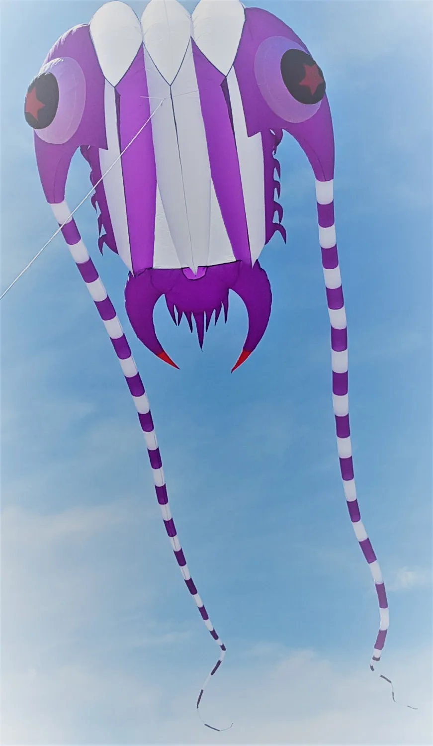 Пляжные мягкие летающие воздушные змеи Trilobite большие металлические нейлоновые