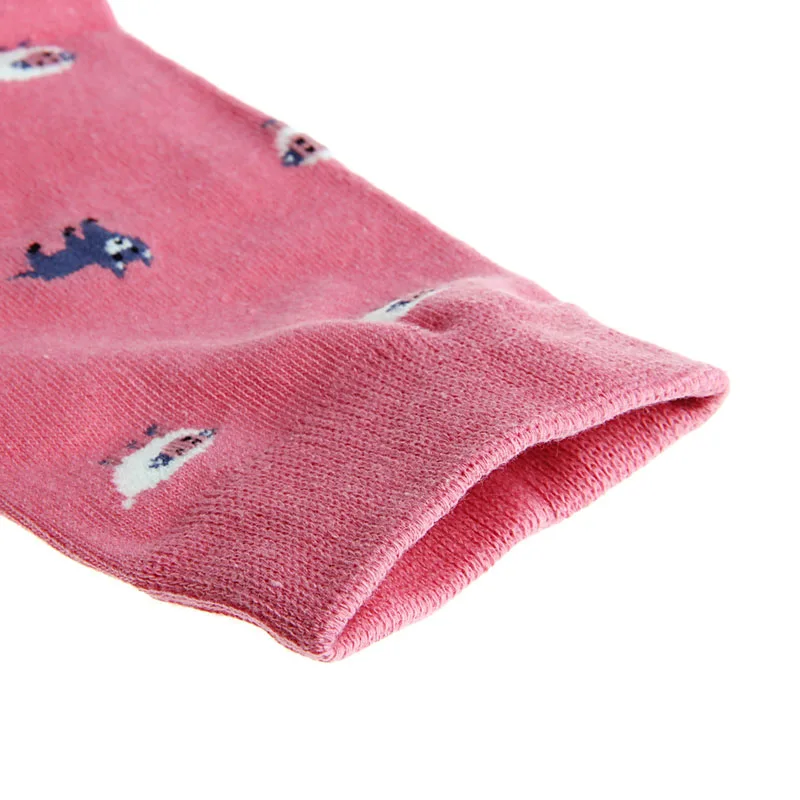 

Women's Socks & Hosiery