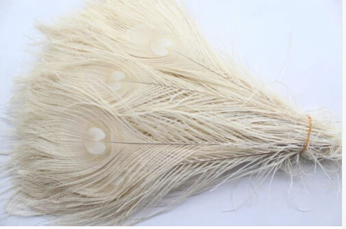 

Manufacturers selling 50 PCS bleaching peacock feathers 10-12 inches/ 25-30 cm
