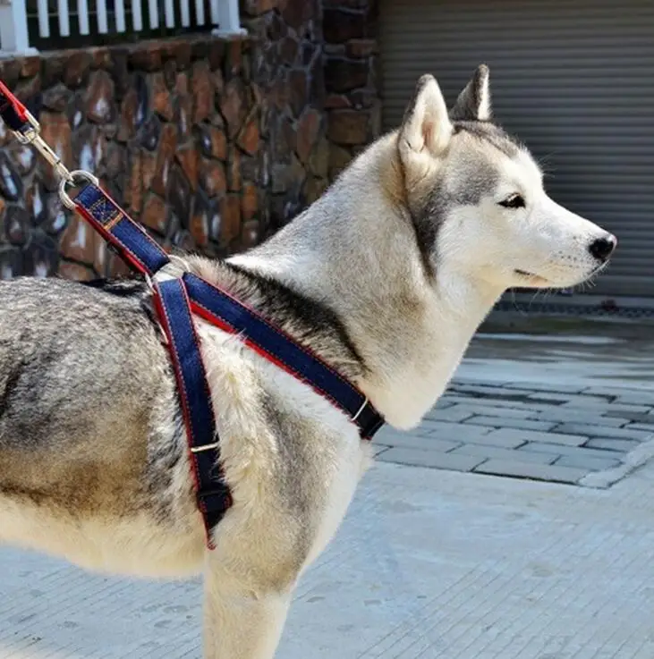 Новинка основа и ремень из искусственной джинсовой ткани для собаки ошейник цепь