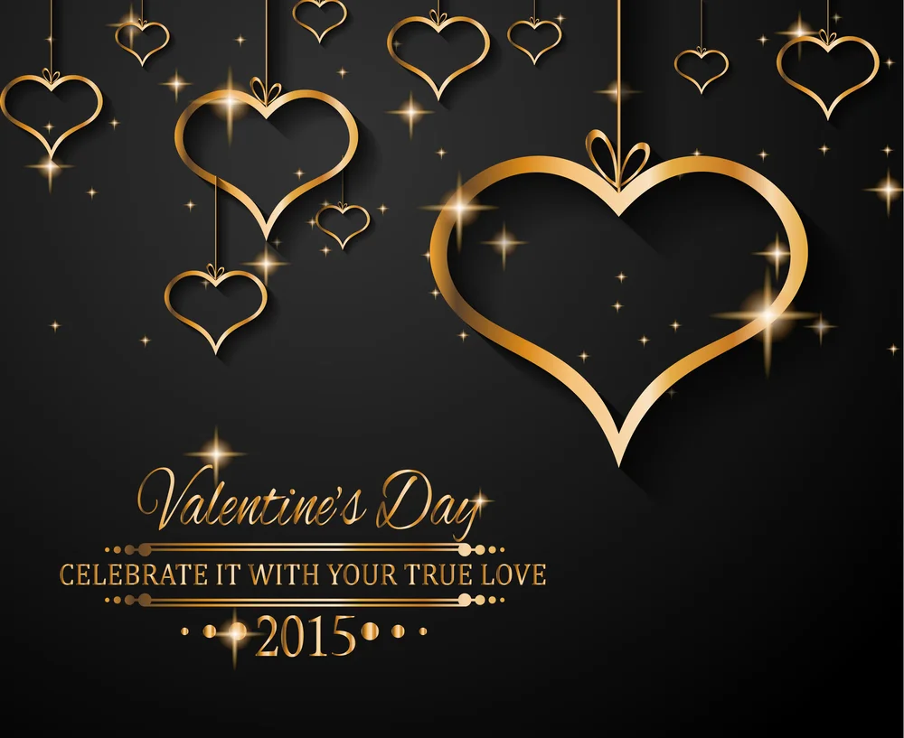 Фоны для фотостудии LIFE MAGIC BOX День святого Валентина Lumberjack Petardi Fond Backdrops.