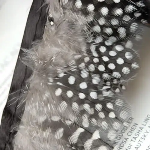 Перьевая бахрома с перьями 2 ярда отделка перламутровыми пятнами перьевое