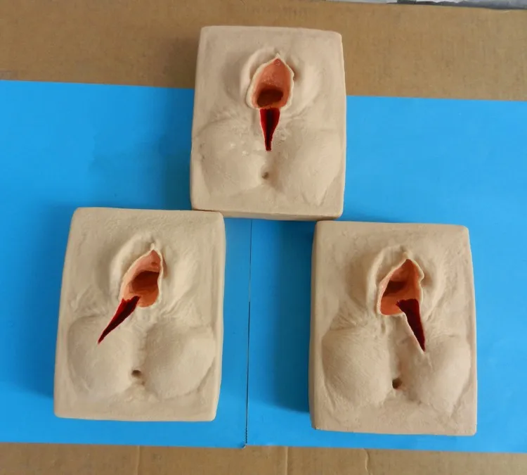 BIX-F3B медицинские частые части Vulva Pudendum шовная тренировочная модель MQ187