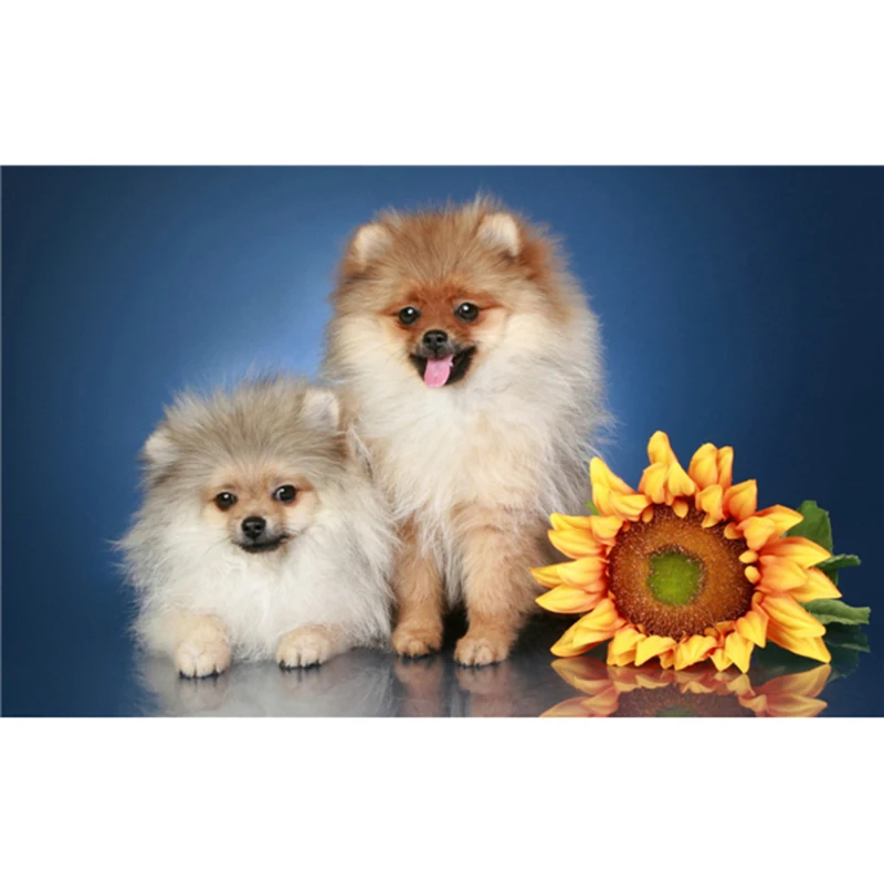 

dog and sunflower picture Diamond embroidery Needlework Diy diamond full and square drill rhinestone pasted Crafts gift A7755R