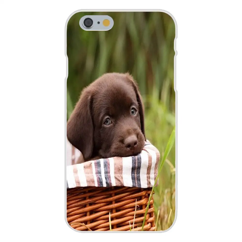 Мягкий ТПУ защитный чехол для Apple iPhone 4 4S 5 5C 5S SE 6 6S 7 8 Plus X XS Max XR | Мобильные телефоны