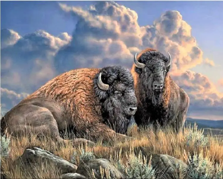 5D Сделай Сам полный квадрат Алмазная картина вышивка крестиком пастбища bison
