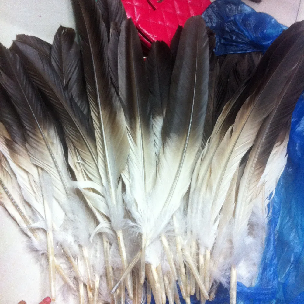 Идеальные наборы натуральных перьев золотого орла 12 20 дюймов/30 50 см|eagle feathers|golden