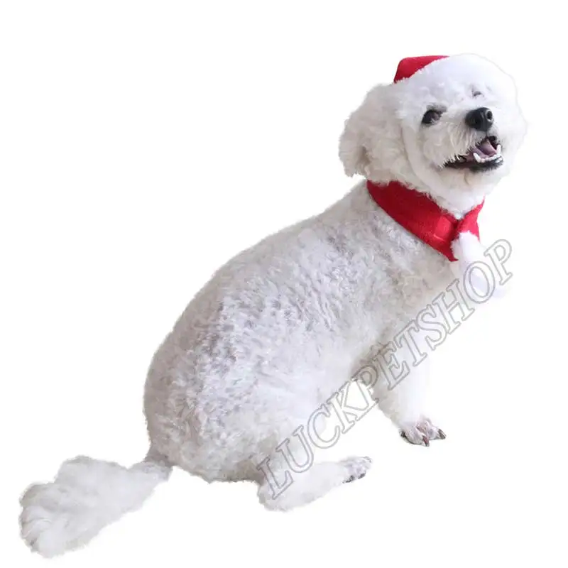 2017 новые товары для домашних животных улучшенная версия одежды красный костюм|suit